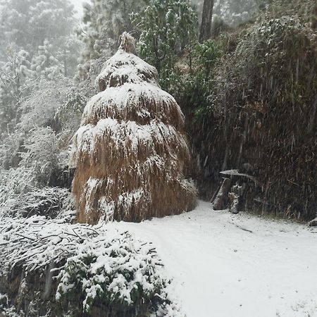 Aagaman Woods Lägenhet Shimla Exteriör bild
