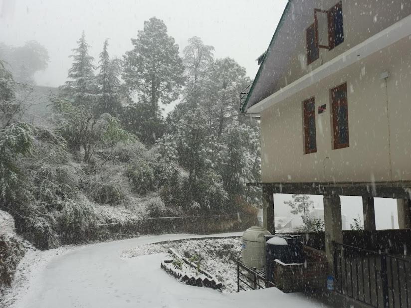 Aagaman Woods Lägenhet Shimla Exteriör bild