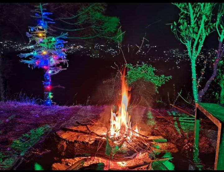 Aagaman Woods Lägenhet Shimla Exteriör bild