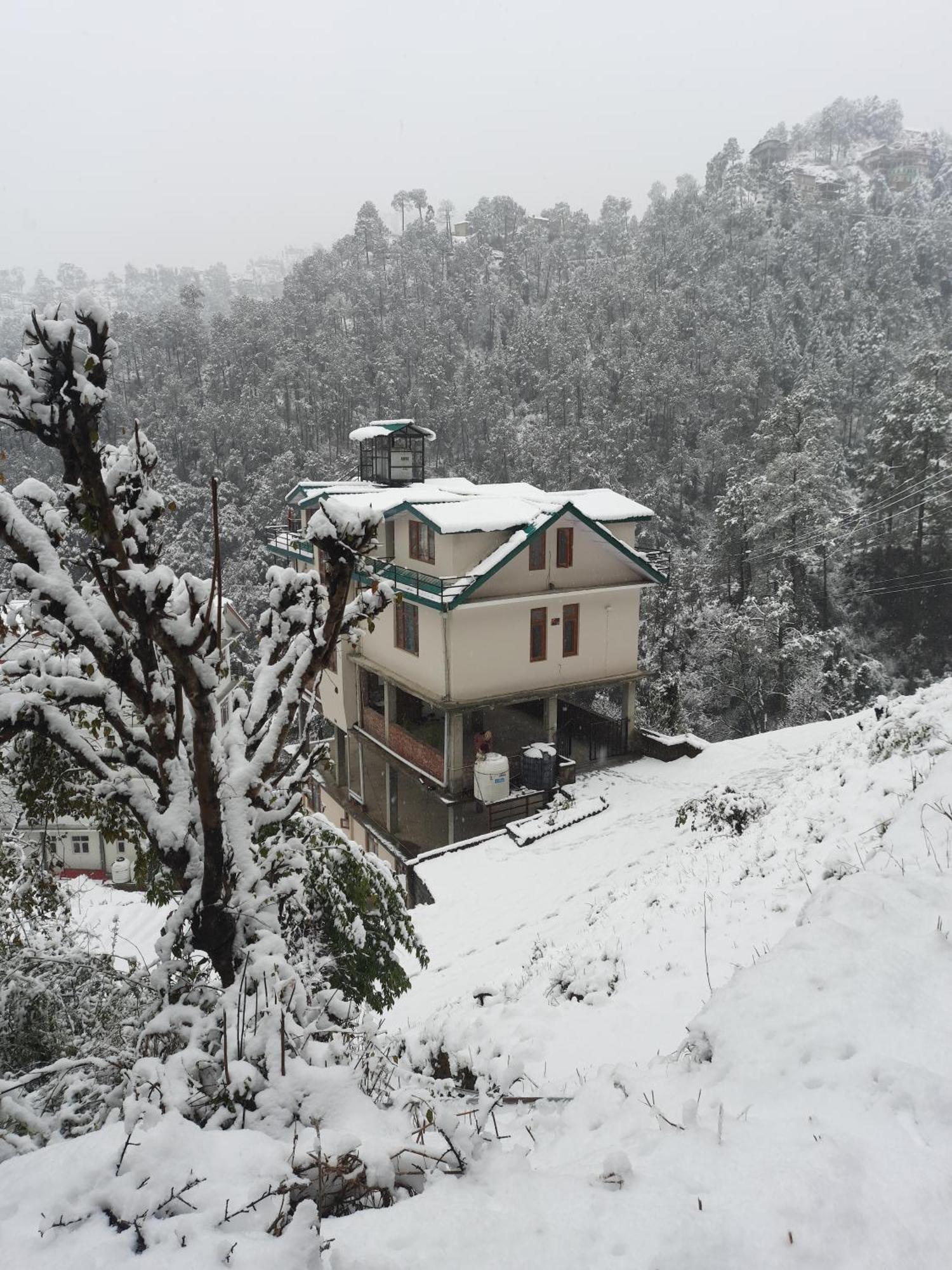 Aagaman Woods Lägenhet Shimla Exteriör bild
